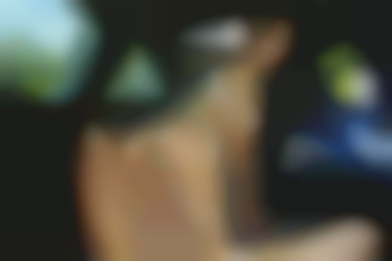 High Life, Low Motives